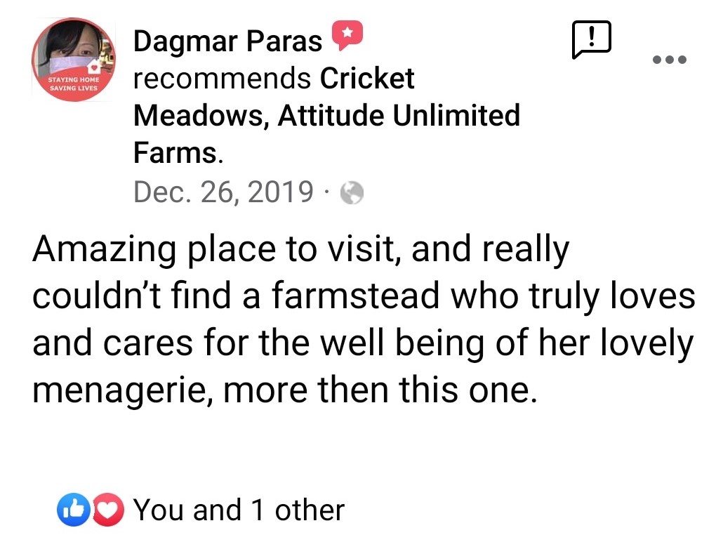 Amazing place to visit, and really couldn't find a farmstead who truly loves and cares for the well being of her lovely menagerie, more then this one. dated Dec 26, 2019 by Dagmar Paras