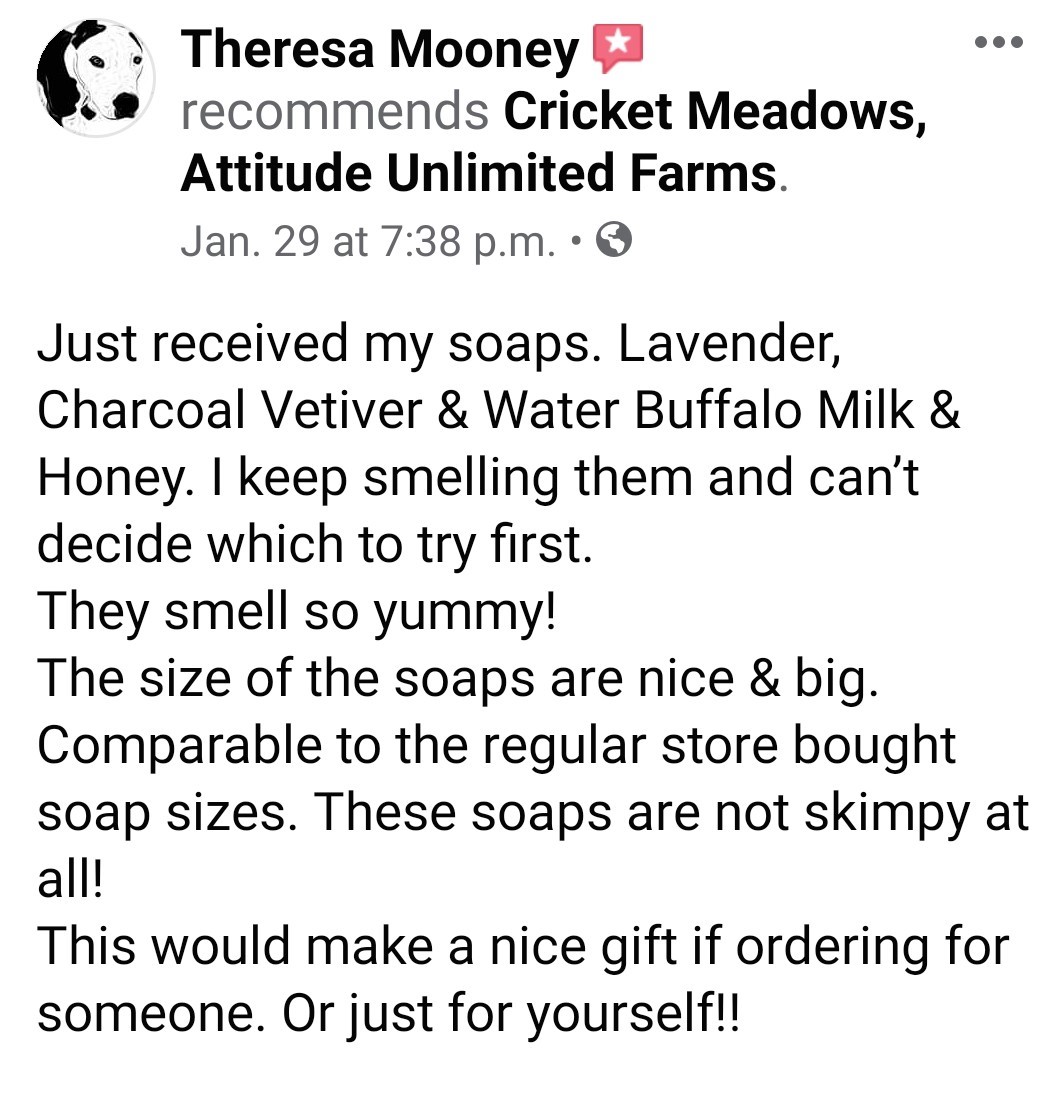 Just received my soaps. Lavendar, Charcoal Vetiver & Water Buffalo Milk & HOney. I keep smelling them and can't decide which to try first. They smell so yummy! The size of the soaps are nice and big. Comparable to the regular store bought soap sizes. These soaps are not skimpy at all! This would make a nice gift if ordering for someone. Or just for yourself!! dated Jan 19, 2020 by Theresa Mooney